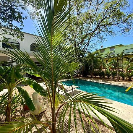 Casa Alice Marbella Lodge Dış mekan fotoğraf