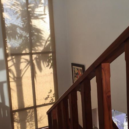 Casa Alice Marbella Lodge Dış mekan fotoğraf