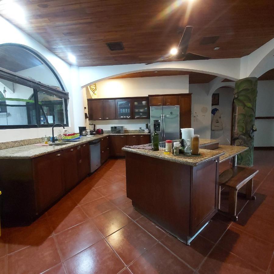 Casa Alice Marbella Lodge Dış mekan fotoğraf