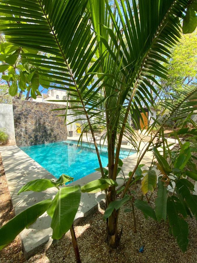 Casa Alice Marbella Lodge Dış mekan fotoğraf