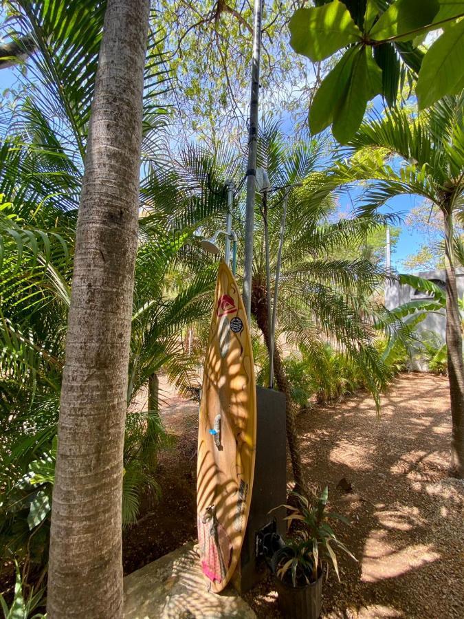 Casa Alice Marbella Lodge Dış mekan fotoğraf