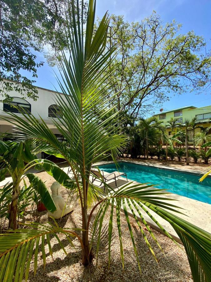 Casa Alice Marbella Lodge Dış mekan fotoğraf