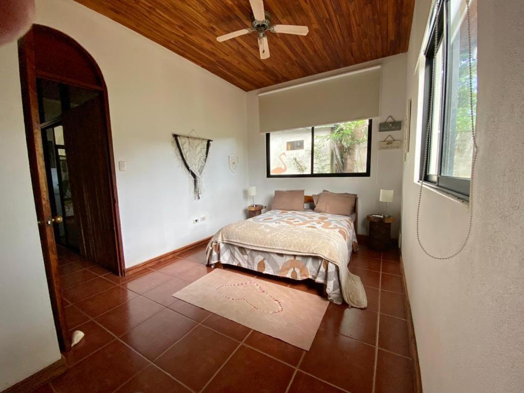Casa Alice Marbella Lodge Dış mekan fotoğraf