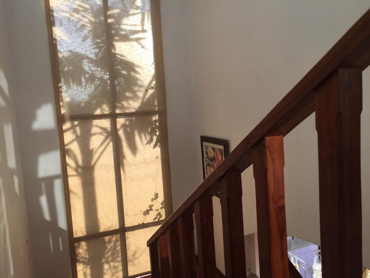 Casa Alice Marbella Lodge Dış mekan fotoğraf