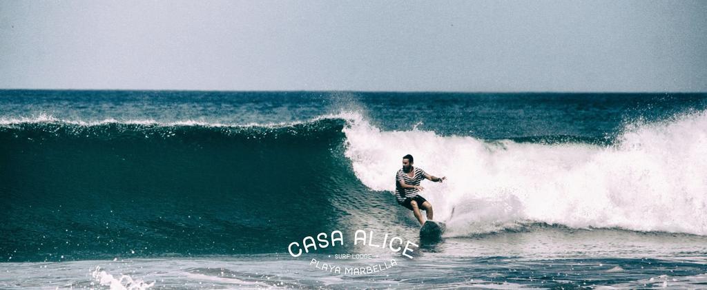 Casa Alice Marbella Lodge Dış mekan fotoğraf