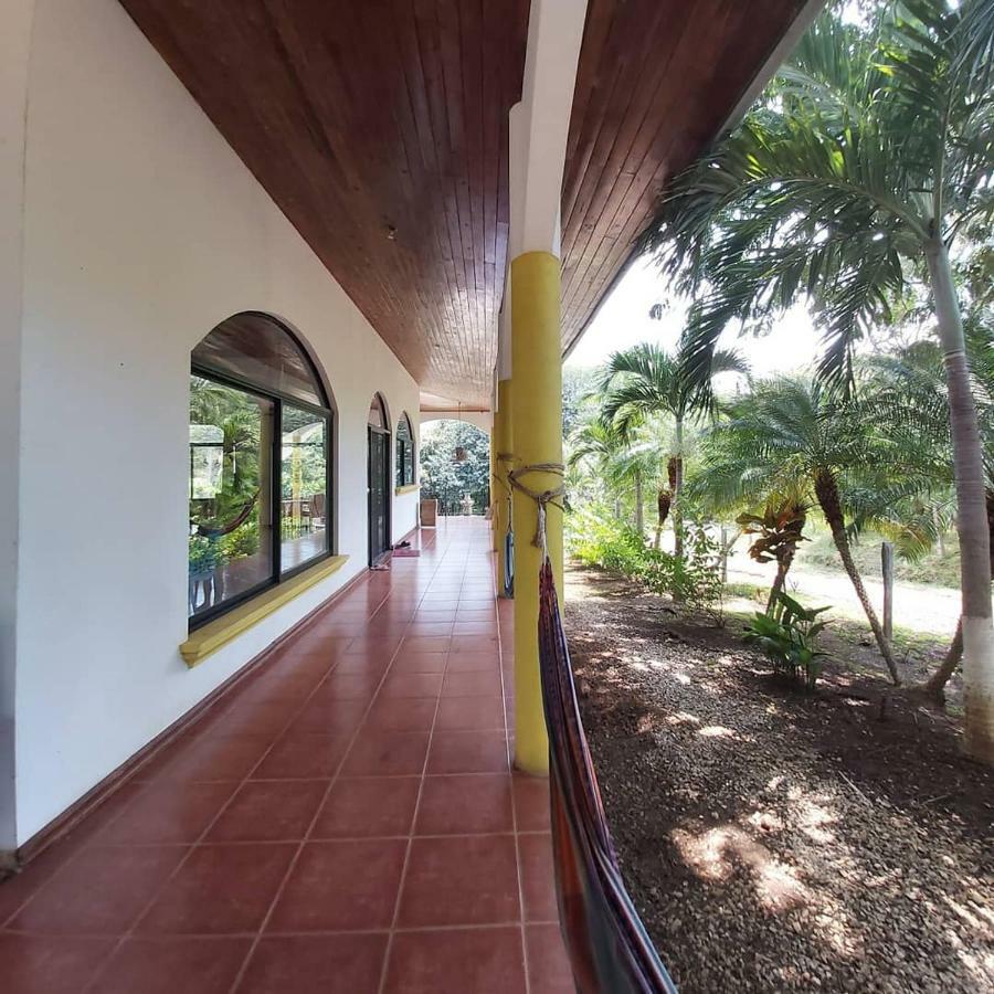 Casa Alice Marbella Lodge Dış mekan fotoğraf
